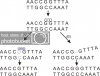 acridine.jpg