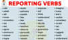 tong-hop-dong-tu-tuong-thuat-reporting-verbs-trong-cau-gian-tiep637031904126720804.png