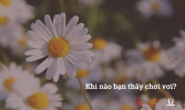 Khi nào bạn thấy chơi vơi.png