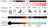 EM_Spectrum_Properties_edit.svg.png