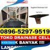 Distributor Drainase Rumput Sintetis Pamenang Selatan.jpg