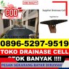 Distributor Drainage Cell Pajarakan.jpg