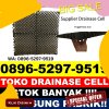 Gudang Drain Cell Halong.jpg