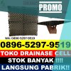 Agen Drainage Rumput Kahayan Hulu Utara.jpg