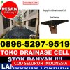 Agen Drainase Sel Palasah.jpg