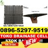 Distributor Drainase Sel Alasa Talu Muzoi.jpg