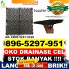 Distributor Drainase Sel Bojong.jpg