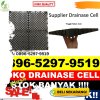 Jual Drain Cell Bengkalis.jpg