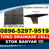 Agen Drain Cell Bumi Ratu Nuban.jpg