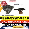 Distributor Drainase Sel Lunyuk.jpg