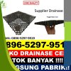 Distributor Drainage Rumput Kepulauan Karimata.jpg