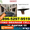 Distributor Drainase Sel Ngantang.jpg