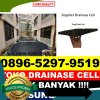 Distributor Drainase Sel Panji.jpg