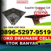 Agen Drain Cell Kota Bandar Lampung.jpg