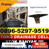 Distributor Drainase Sel Sahu Timur.jpg