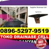 Distributor Drainase Sel Segeri.jpg