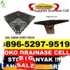 Agen Drain Cell Luhak Nan Duo.jpg