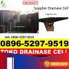 Distributor Drainase Sel Tegalsiwalan.jpg