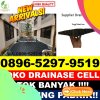 Agen Drainase Cell Pante Bidari.jpg