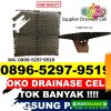 Pusat Drainage Cell Kabupaten Demak.jpg