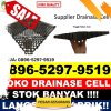 Penjual Drainase Sel Lubuk Sikaping.jpg