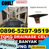 Toko Drainase Cell Nyuatan.jpg