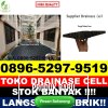 Penjual Drainase Sel Rawajitu Timur.jpg