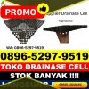 Toko Drainase Sel Lemong.jpg