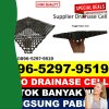 Jual Drainase Sel Nainggolan.jpg