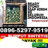 Agen Rumput Imitasi Alasa.jpg