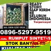 Agen Rumput Imitasi Anjir Muara.jpg