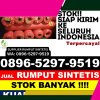 Agen Rumput Palsu Simeulue Cut.jpg