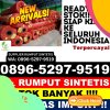 Agen Rumput Sintetis Pante Bidari.jpg