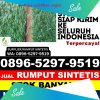 Distributor Rumput Palsu Kota Pekanbaru.jpg