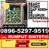 Agen Rumput Imitasi Banjarejo.jpg