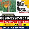 Distributor Rumput Palsu Kotaanyar.jpg