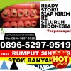 Agen Rumput Palsu Sipora Selatan.jpg