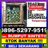 Grosir Rumput Palsu Babelan.jpg