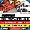 Penjual Rumput Palsu Palakka.jpg