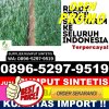 Distributor Rumput Palsu Kumpeh.jpg