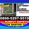 Jual Rumput Plastik Bakarangan.jpg