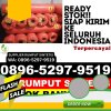 Jual Rumput Sintetis Sinunukan.jpg