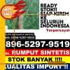 Penjual Rumput Sintetis Kota Ternate.jpg