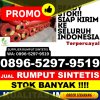 Agen Rumput Sintetis Perak.jpg