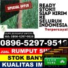 Distributor Rumput Palsu Kutawaringin.jpg