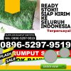 Distributor Rumput Sintetis Gunungguruh.jpg