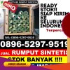 Grosir Rumput Palsu Bangkala Barat.jpg