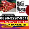 Penjual Rumput Palsu Panggul.jpg