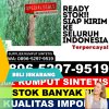 Penjual Rumput Sintetis Kraton.jpg