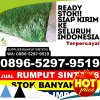 Pusat Rumput Palsu Gunungsitoli Idanoi.jpg